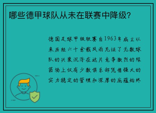 哪些德甲球队从未在联赛中降级？